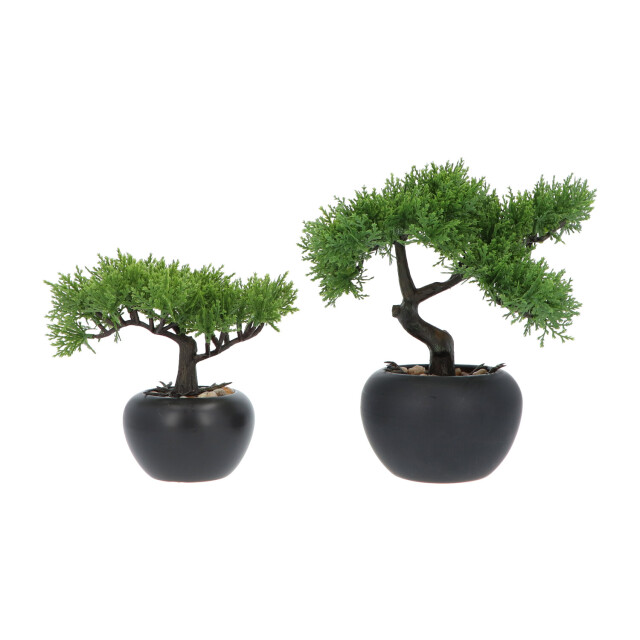 Kopu ® 2 stuks kunstplant bonsai boompje ceder 19 en 25 cm met pot 2612771 large