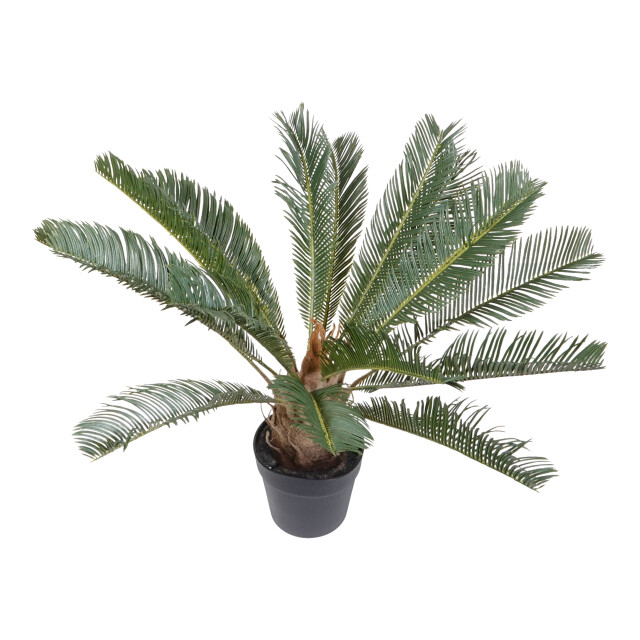Kopu ® kunstplant cycaspalm 60 cm in zwarte pot 18 varens nepplant 2612750 large