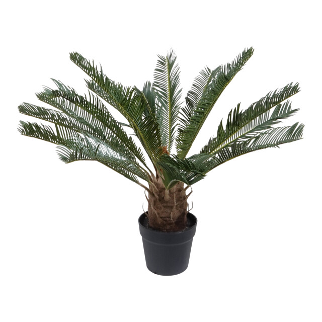 Kopu ® kunstplant cycaspalm 60 cm in zwarte pot 18 varens nepplant 2612750 large