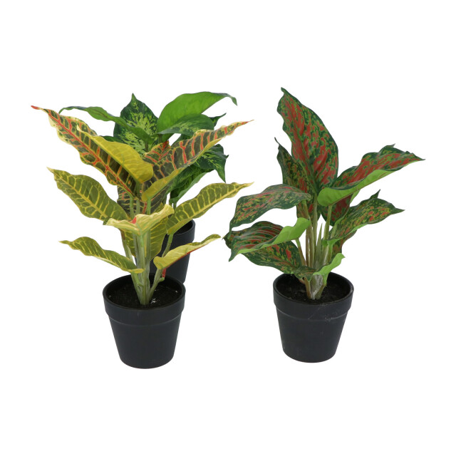 Kopu ® set 3 verschillende kunstplantjes 25 cm hoog 2612772 large