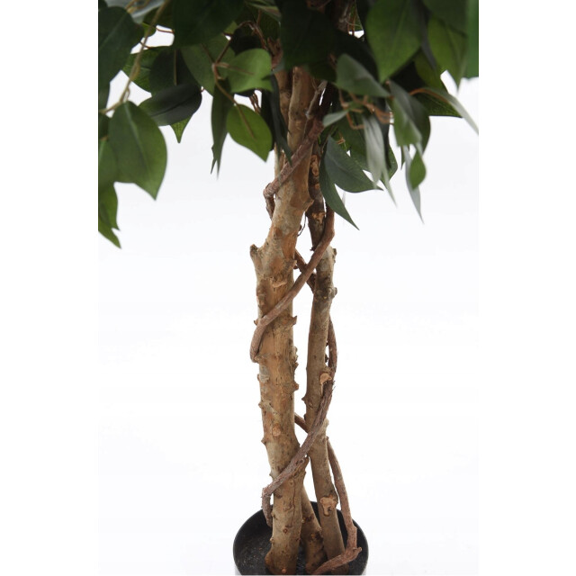 Kopu ® kunstplant ficus 125 cm in pot met natuurstam 2759307 large