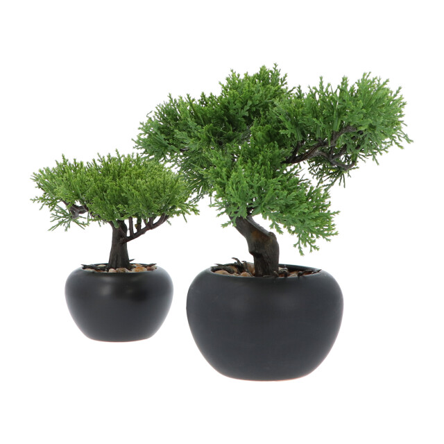 Kopu ® 2 stuks kunstplant bonsai boompje ceder 19 en 25 cm met pot 2612771 large