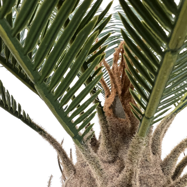 Kopu ® kunstplant cycaspalm 60 cm in zwarte pot 18 varens nepplant 2612750 large