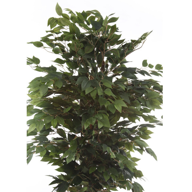 Kopu ® kunstplant ficus 125 cm in pot met natuurstam 2759307 large