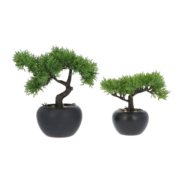 Kopu ® 2 stuks kunstplant bonsai boompje ceder 19 en 25 cm met pot 2612771 large