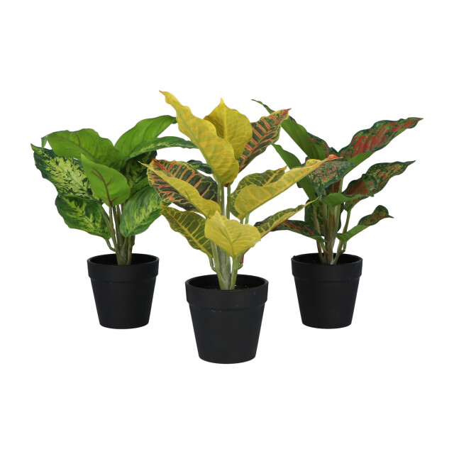 Kopu ® set 3 verschillende kunstplantjes 25 cm hoog 2612772 large