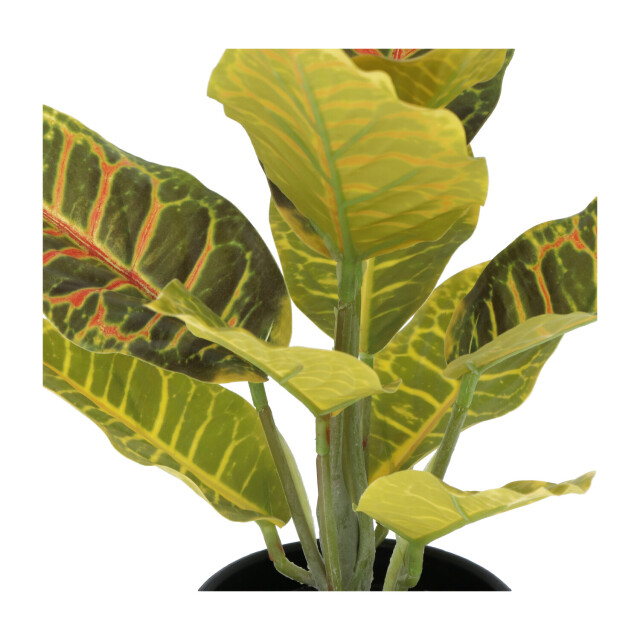 Kopu ® set 3 verschillende kunstplantjes 25 cm hoog 2612772 large