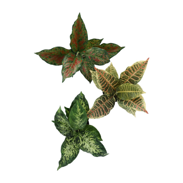 Kopu ® set 3 verschillende kunstplantjes 25 cm hoog 2612772 large