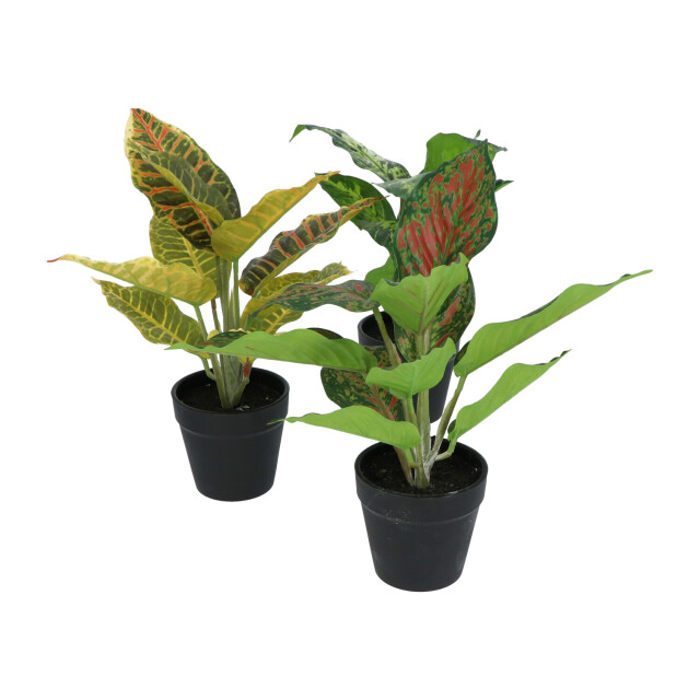 Kopu ® set 3 verschillende kunstplantjes 25 cm hoog 2612772 large