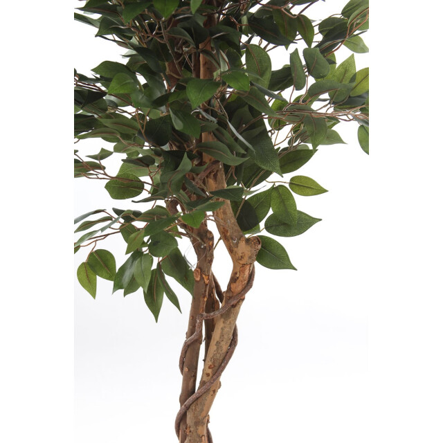 Kopu ® kunstplant ficus 125 cm in pot met natuurstam 2759307 large