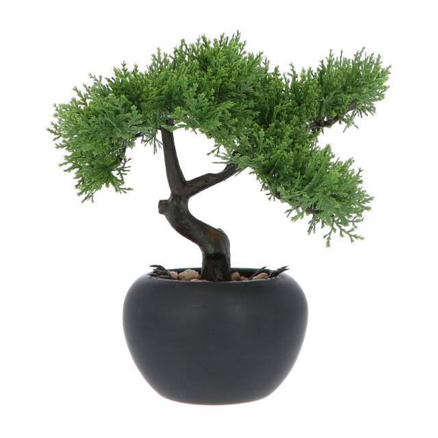 Kopu ® 2 stuks kunstplant bonsai boompje ceder 19 en 25 cm met pot 2612771 large