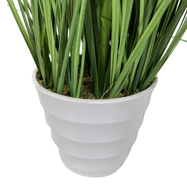 Kopu ® kunstplant pampusgras 110 cm 5 pluimen in witte pot 2612730 large