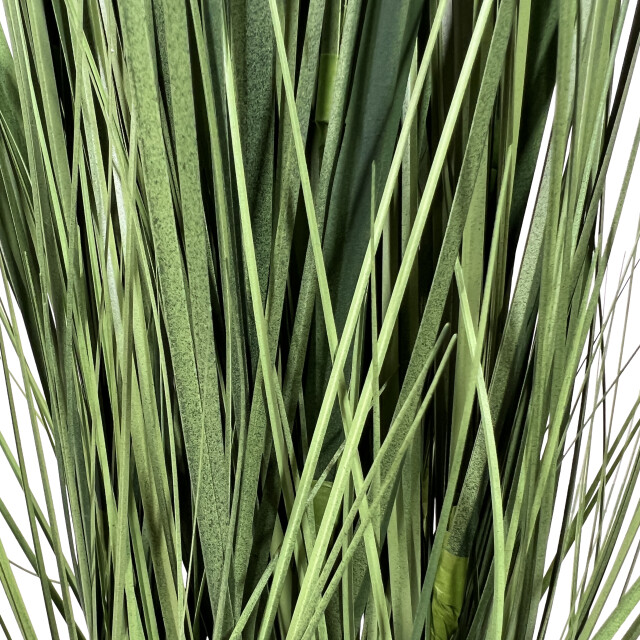 Kopu ® kunstplant pampusgras 110 cm 5 pluimen in witte pot 2612730 large