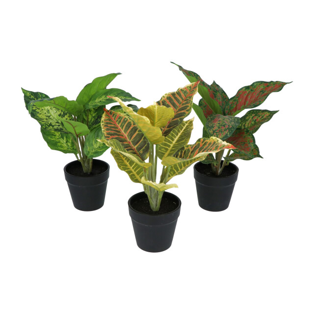 Kopu ® set 3 verschillende kunstplantjes 25 cm hoog 2612772 large