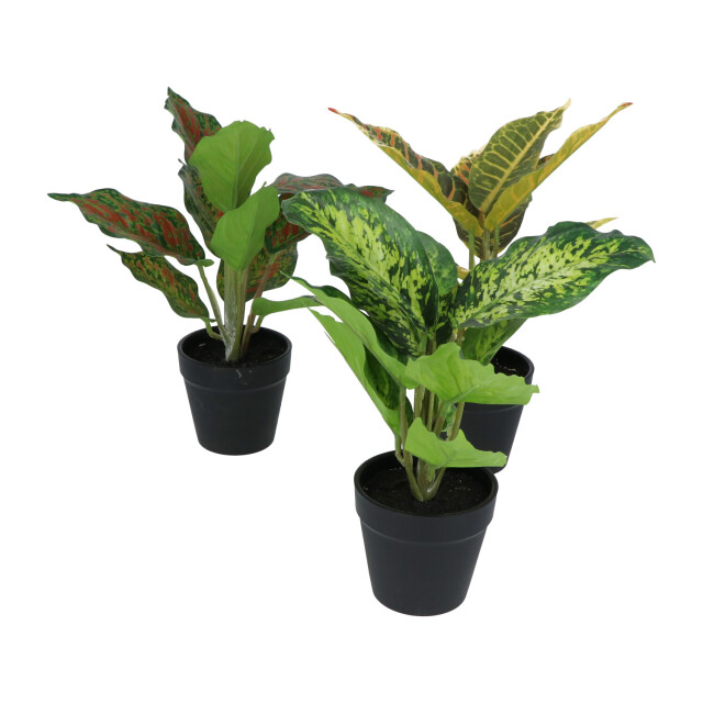 Kopu ® set 3 verschillende kunstplantjes 25 cm hoog 2612772 large