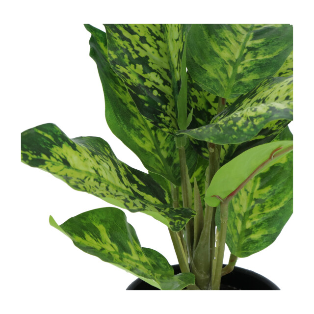 Kopu ® set 3 verschillende kunstplantjes 25 cm hoog 2612772 large