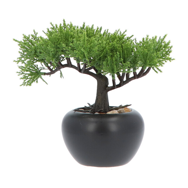 Kopu ® 2 stuks kunstplant bonsai boompje ceder 19 en 25 cm met pot 2612771 large