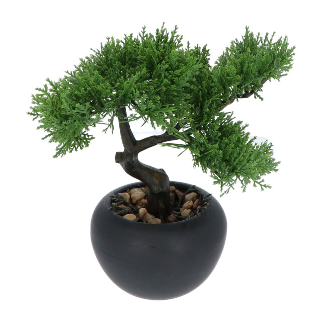 Kopu ® 2 stuks kunstplant bonsai boompje ceder 19 en 25 cm met pot 2612771 large