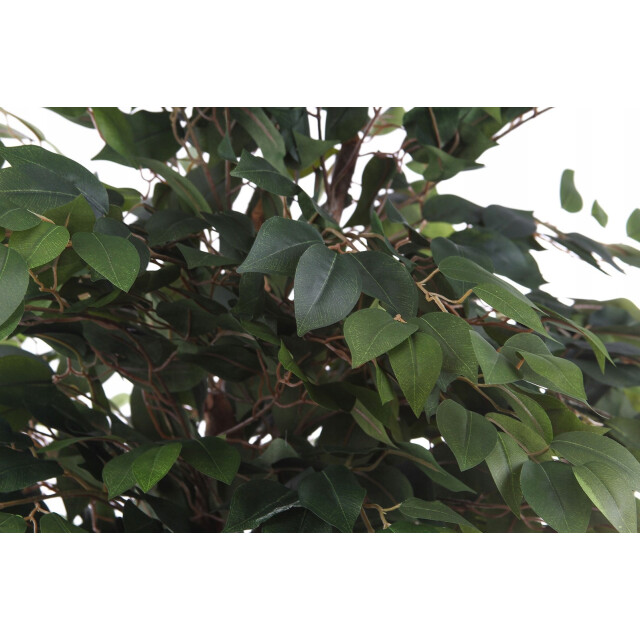 Kopu ® kunstplant ficus 125 cm in pot met natuurstam 2759307 large