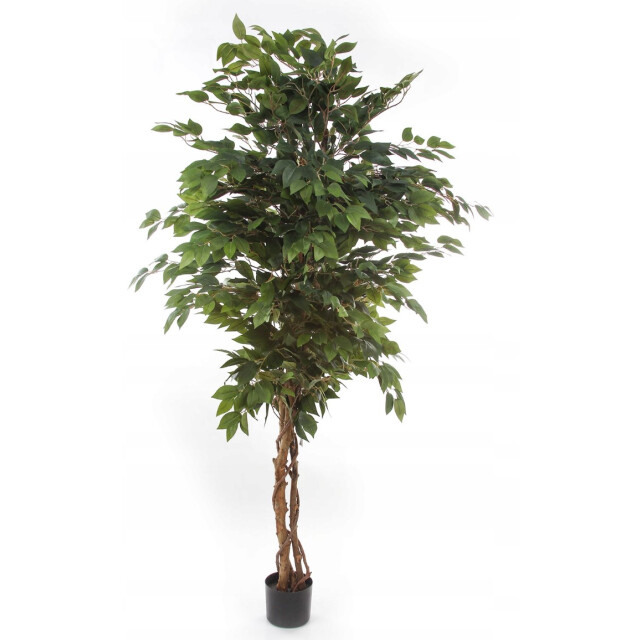 Kopu ® kunstplant ficus 125 cm in pot met natuurstam 2759307 large
