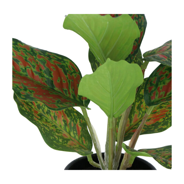 Kopu ® set 3 verschillende kunstplantjes 25 cm hoog 2612772 large
