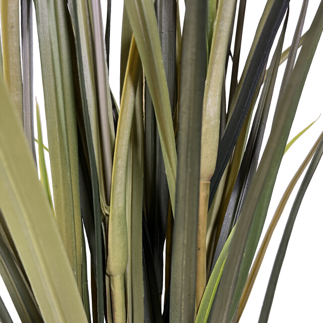 Kopu ® kunstplant miscanthus 90 cm 3 pluimen in zwarte pot 2612732 large