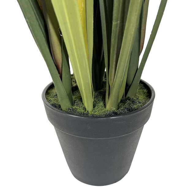 Kopu ® kunstplant miscanthus 90 cm 3 pluimen in zwarte pot 2612732 large