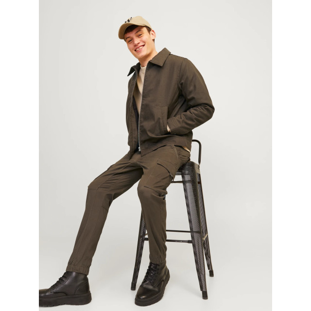 Jack & Jones Jack jones jpstpaul jjflake cargo noos 12139912 wren 05516.840.0019 large