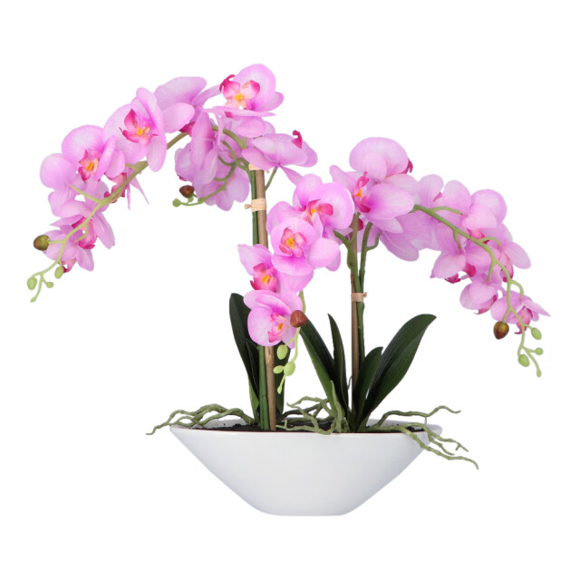 Kopu ® kunstbloem orchidee 53 cm met schaal ovaal phalenopsis 2612707 large