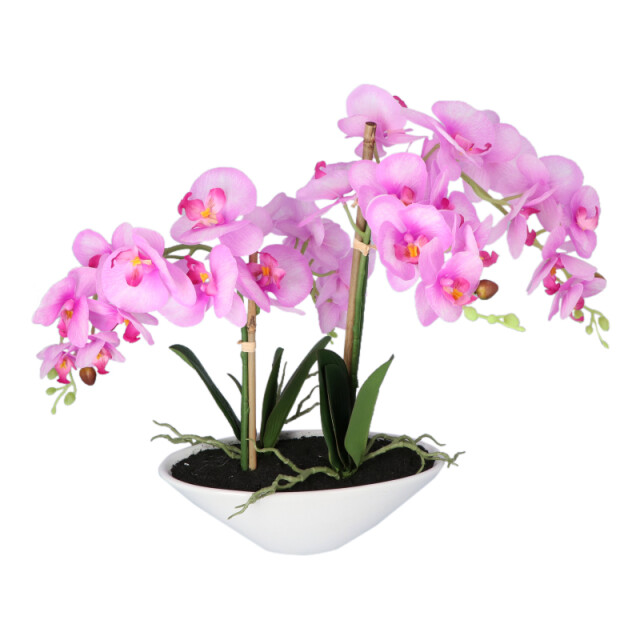 Kopu ® kunstbloem orchidee 53 cm met schaal ovaal phalenopsis 2612707 large