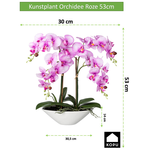 Kopu ® kunstbloem orchidee 53 cm met schaal ovaal phalenopsis 2612707 large