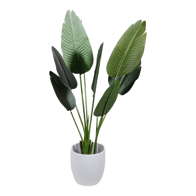 Kopu ® kunstplant strelitzia nicolai 120 cm paradijsvogelplant 8 blad 2612716 large