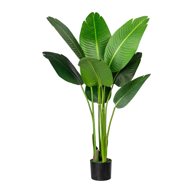 Kopu ® kunstplant strelitzia nicolai 120 cm paradijsvogelplant 8 blad 2612716 large