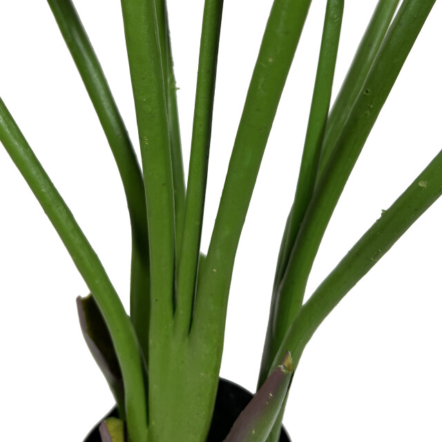 Kopu ® kunstplant strelitzia nicolai 120 cm paradijsvogelplant 8 blad 2612716 large
