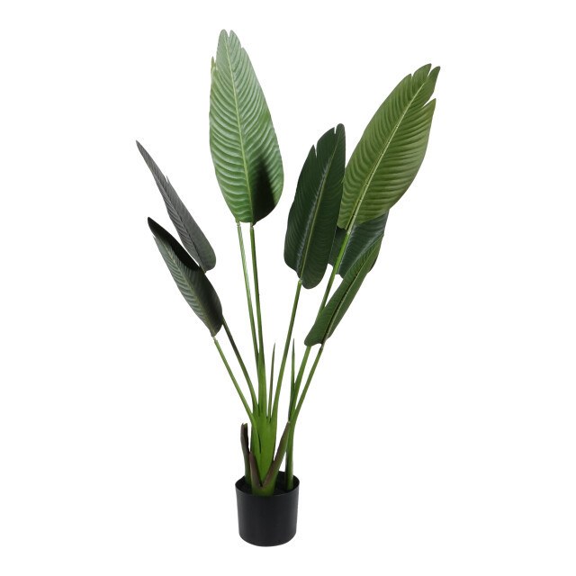 Kopu ® kunstplant strelitzia nicolai 120 cm paradijsvogelplant 8 blad 2612716 large