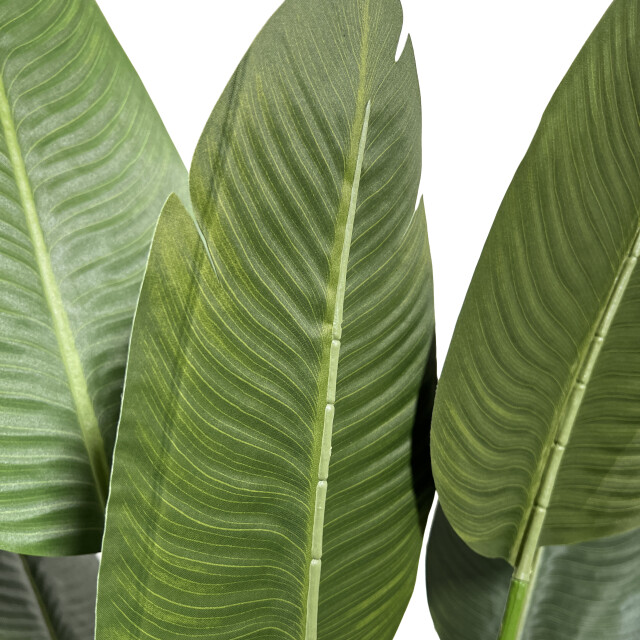 Kopu ® kunstplant strelitzia nicolai 120 cm paradijsvogelplant 8 blad 2612716 large