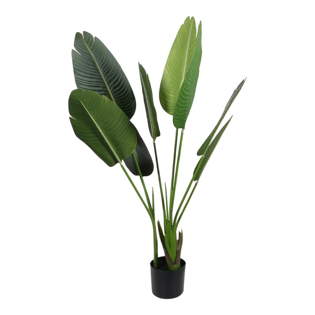 Kopu ® kunstplant strelitzia nicolai 120 cm paradijsvogelplant 8 blad 2612716 large