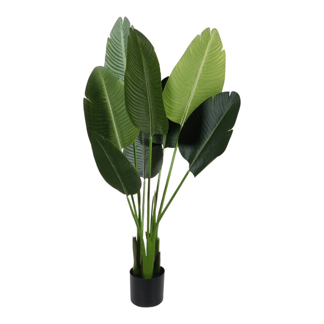 Kopu ® kunstplant strelitzia nicolai 120 cm paradijsvogelplant 8 blad 2612716 large