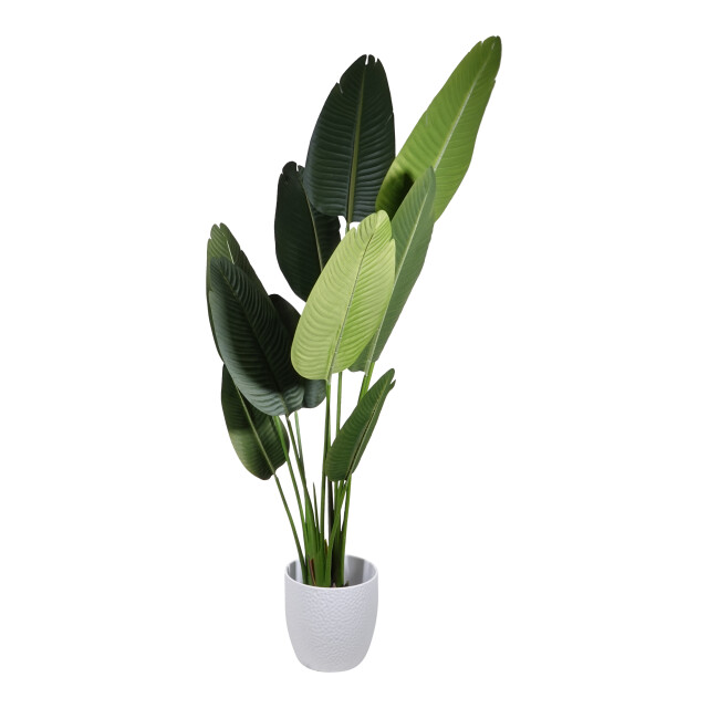 Kopu ® kunstplant strelitzia nicolai 160 cm paradijsvogelplant 10 blad 2612739 large