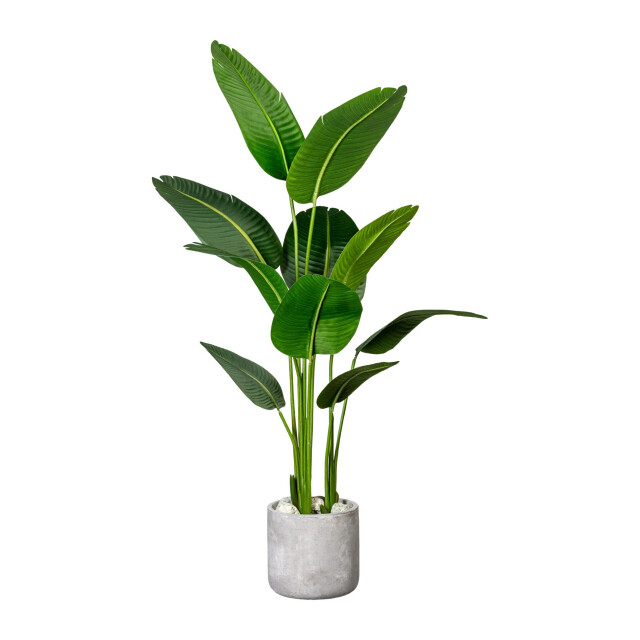 Kopu ® kunstplant strelitzia nicolai 160 cm paradijsvogelplant 10 blad 2612739 large