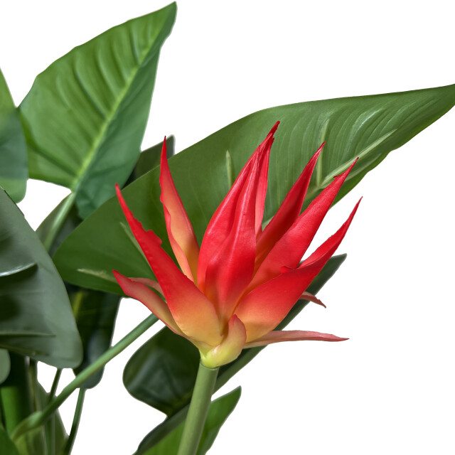 Kopu ® kunstplant guzmania 105 cm met 3 oranje bloemen nepplant 2612764 large