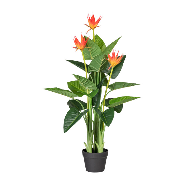 Kopu ® kunstplant guzmania 105 cm met 3 oranje bloemen nepplant 2612764 large