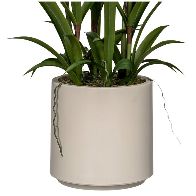 Kopu ® kunstbloem orchidee oncidium 98cm in pot - 3037459 large