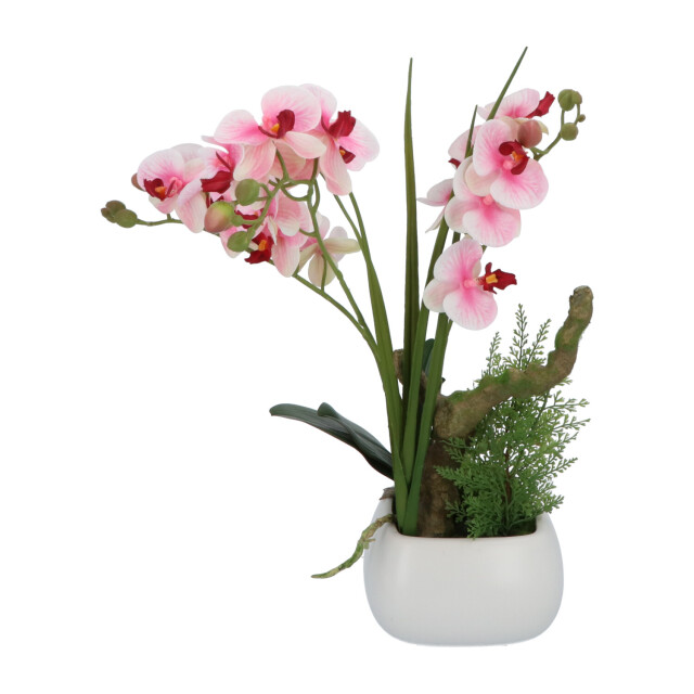 Kopu ® kunstbloem orchidee 46 cm lila bloempot vierkant phalaenopsis 2612722 large