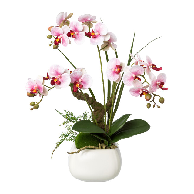 Kopu ® kunstbloem orchidee 46 cm lila bloempot vierkant phalaenopsis 2612722 large