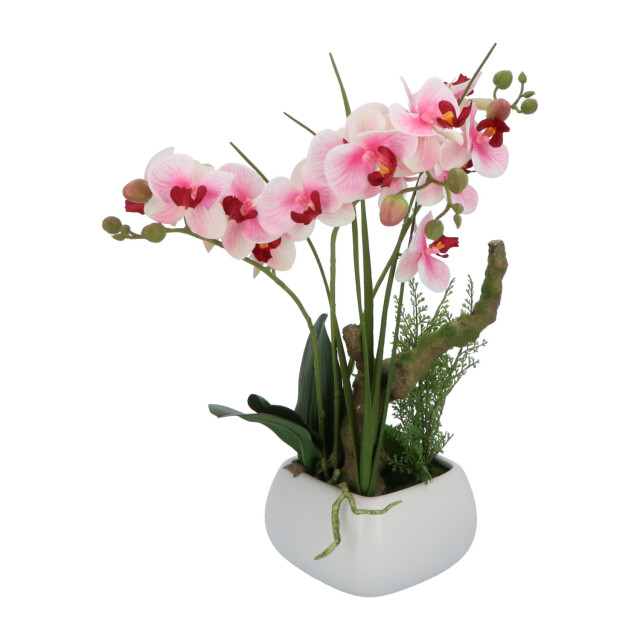 Kopu ® kunstbloem orchidee 46 cm lila bloempot vierkant phalaenopsis 2612722 large