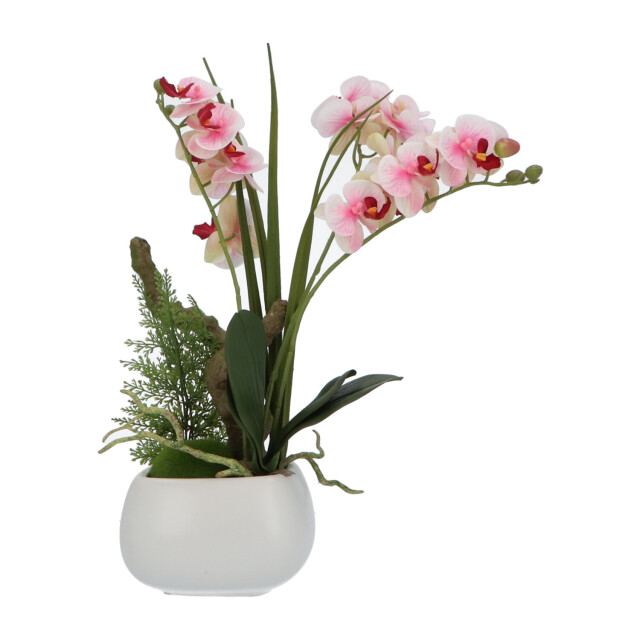 Kopu ® kunstbloem orchidee 46 cm lila bloempot vierkant phalaenopsis 2612722 large