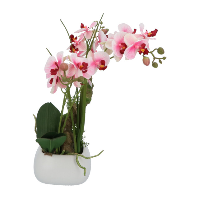 Kopu ® kunstbloem orchidee 46 cm lila bloempot vierkant phalaenopsis 2612722 large