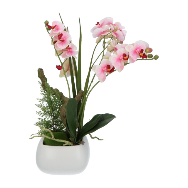 Kopu ® kunstbloem orchidee 46 cm lila bloempot vierkant phalaenopsis 2612722 large