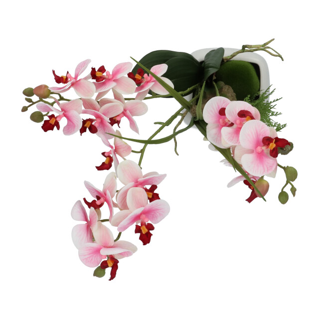 Kopu ® kunstbloem orchidee 46 cm lila bloempot vierkant phalaenopsis 2612722 large